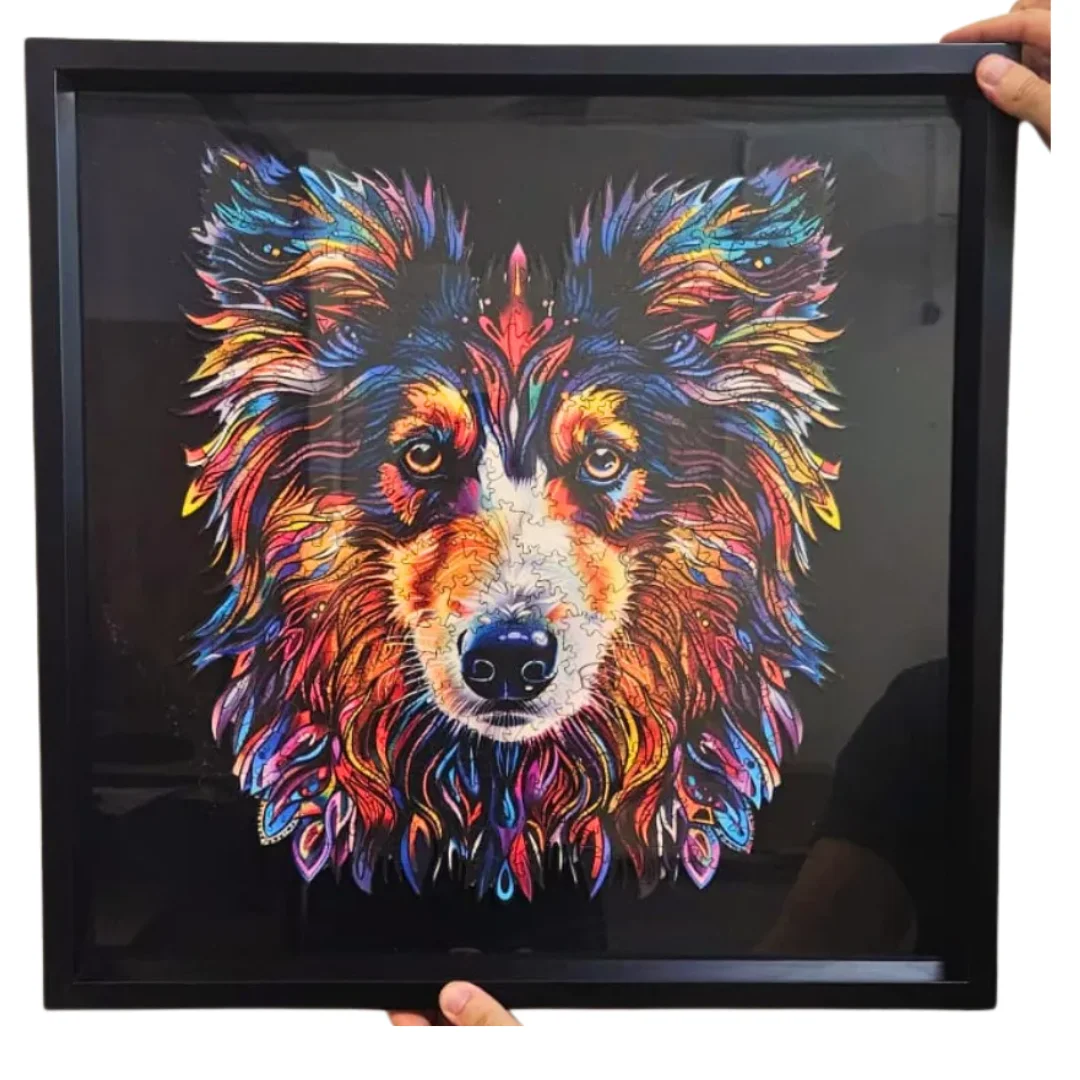 Quadro do Seu Pet no Contorno Colorido - MDF ou Acrílico, com ou sem Moldura 4