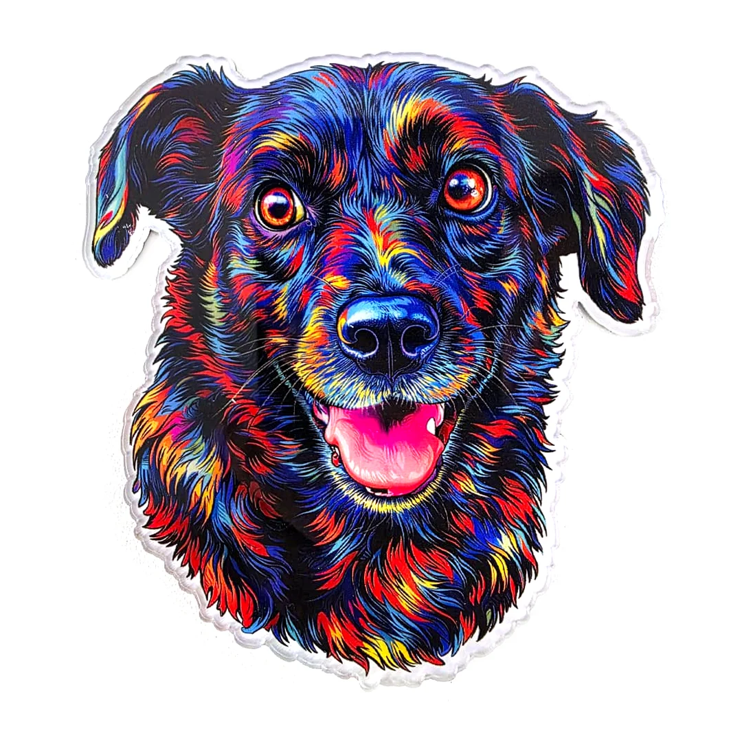 Ímã de Geladeira Contorno Pet Colorido - Acrílico com a Arte do Seu Pet 2