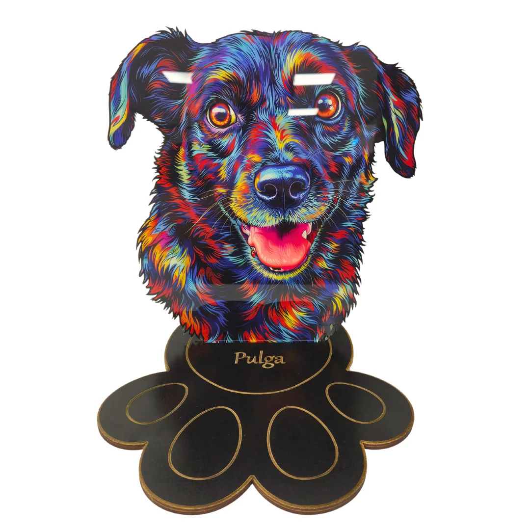 Troféu do Seu Pet no Contorno Colorido - MDF ou Acrílico com Base de Patinha 2