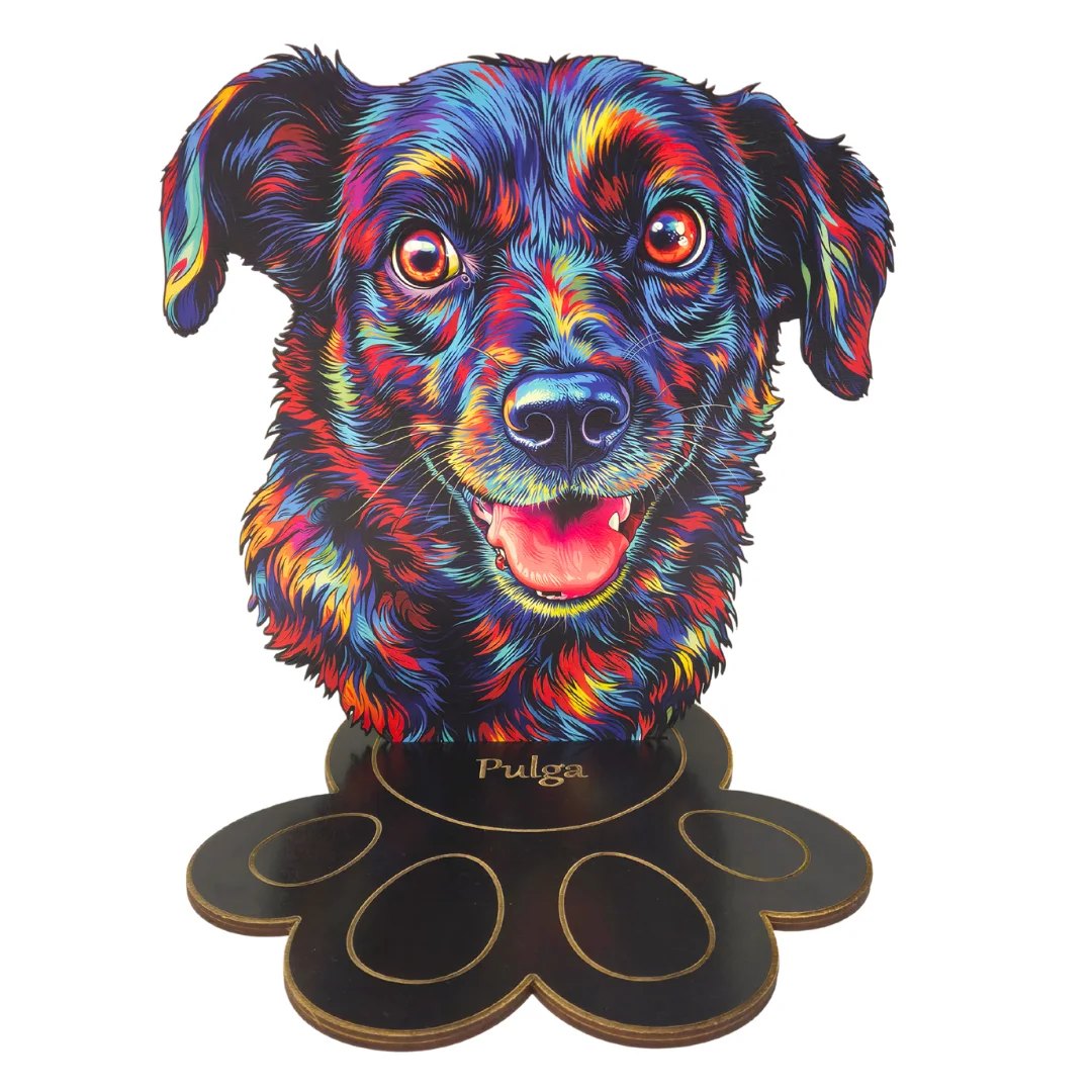 Troféu do Seu Pet no Contorno Colorido - MDF ou Acrílico com Base de Patinha 1